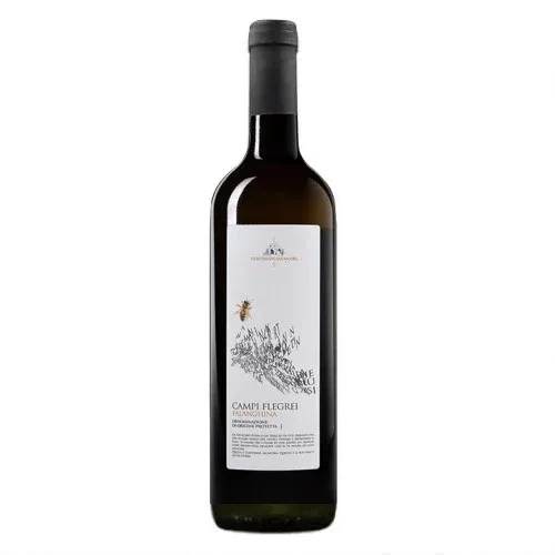 Falanghina Dei Campi Flegrei Contrada Salandra Dop 2021 Cl.75 13% Vol.