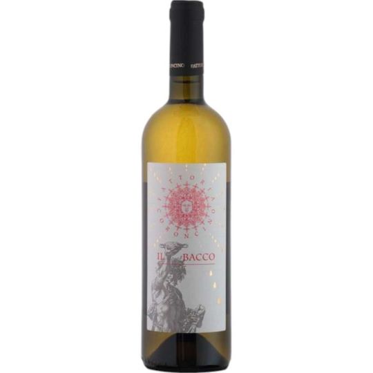 Verdicchio Dei Castelli Di Jesi Classico Superiore Il Bacco Fattoria Coroncino Doc 2024 Cl.75 14% Vol.